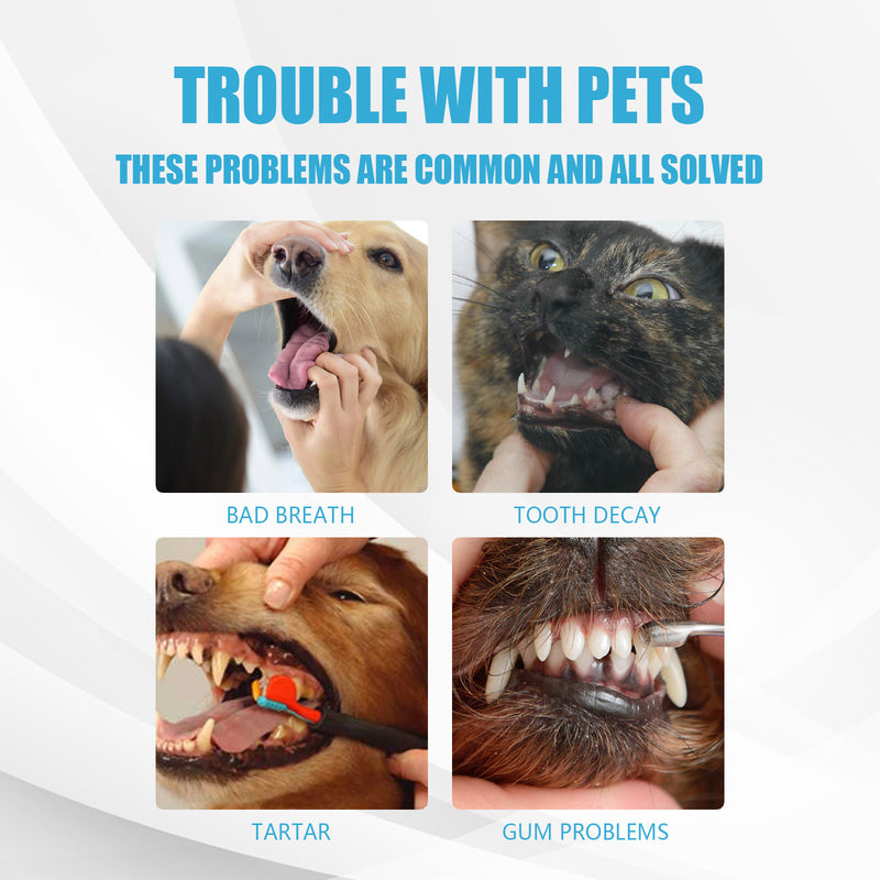 Pet Toothpaste Dog Fresh Breath In Addition To Bad Breath Tartar Cleaning Cats