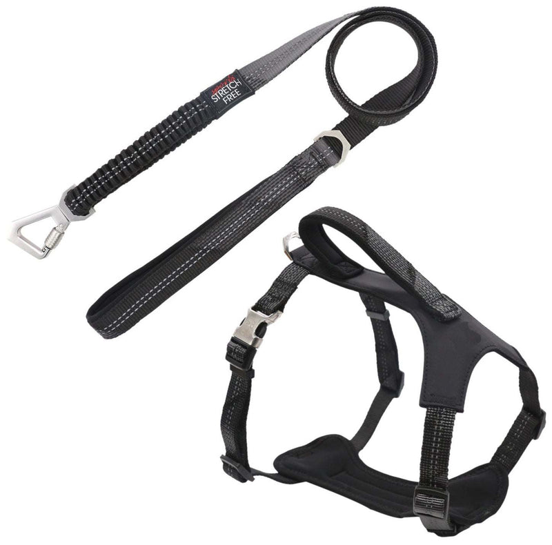 Shock Absorbing Neoprene Padded Reflective Dog Leash