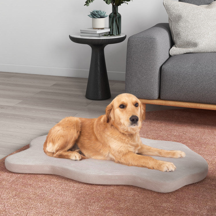 Memory Foam Support for Large Orthopedic Dog Bed