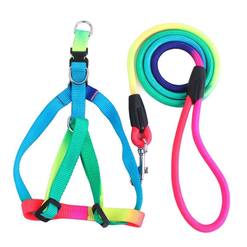 Pet Dog Collar Harness Leash Soft Walking Harness Lead Colorful and Durable Traction Rope 120cm