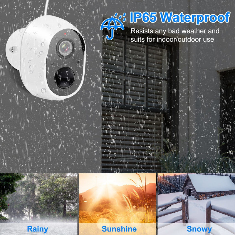 Audio Security Surveillance IP65 Waterproof Camera