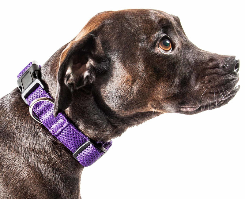 360 Degree Dual Sided Comfortable And Breathable Adjustable Mesh Dog