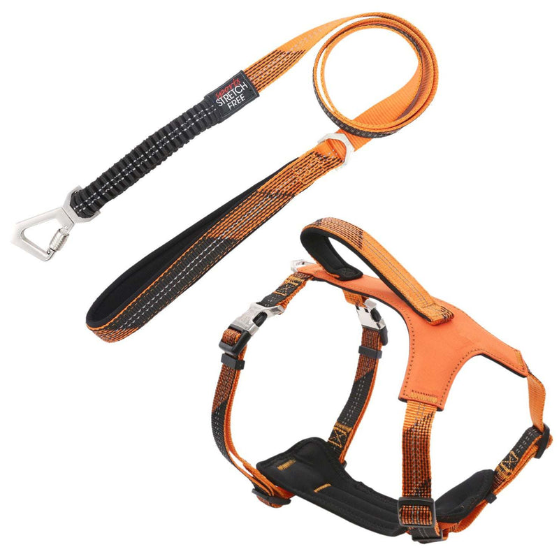 Shock Absorbing Neoprene Padded Reflective Dog Leash