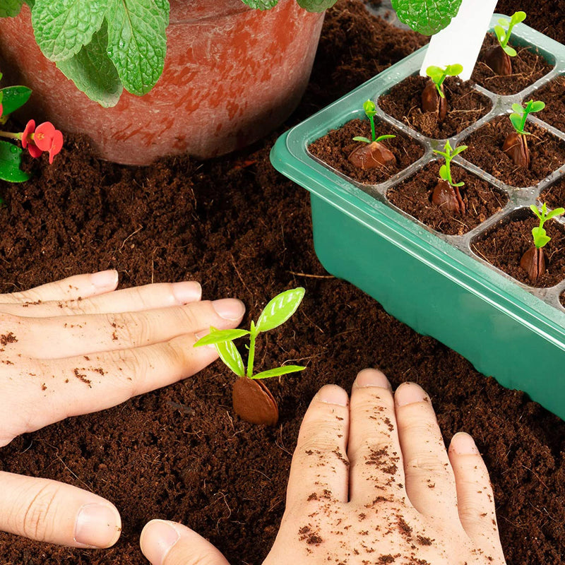 Propagator Station Greenhouse Growing Germination Tray