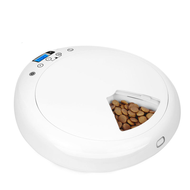 Digital Timer Food Dispenser Wet and Dry Foods