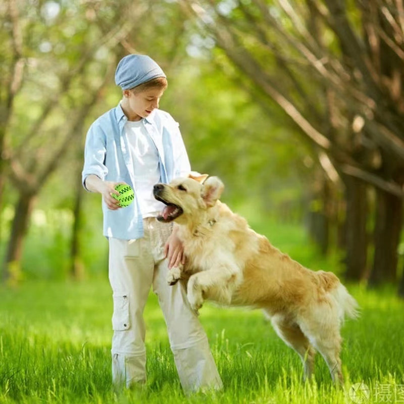 Pet Dog Toy Interactive Rubber Balls