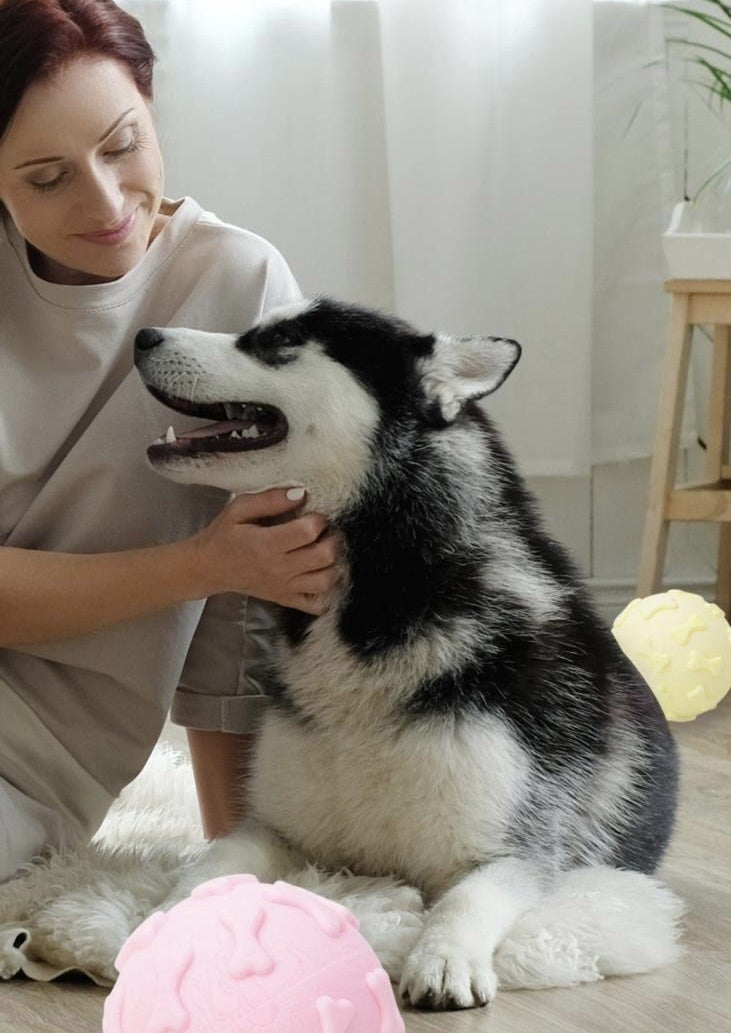 Cleaning Supplies Self-help Boredom Dog Round Ball