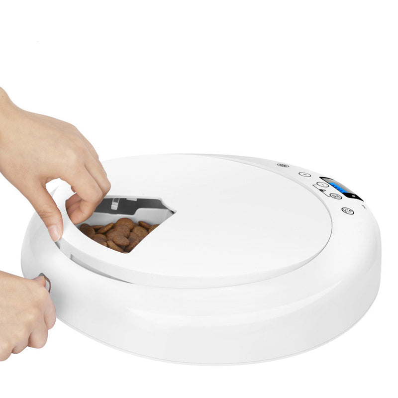 Digital Timer Food Dispenser Wet and Dry Foods