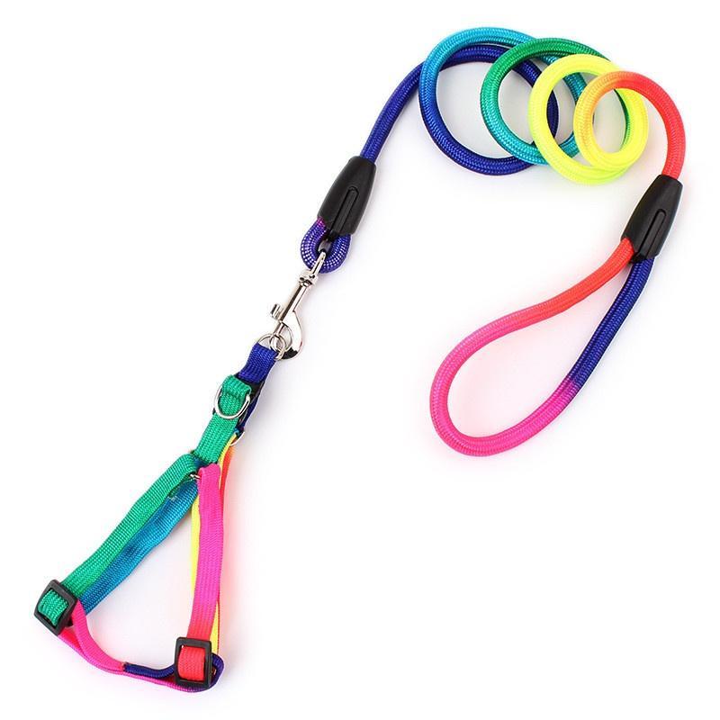 Pet Dog Collar Harness Leash Soft Walking Harness Lead Colorful and Durable Traction Rope 120cm