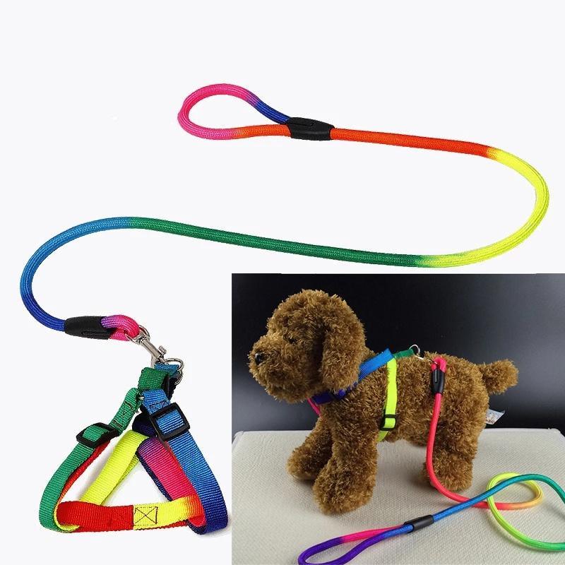 Pet Dog Collar Harness Leash Soft Walking Harness Lead Colorful and Durable Traction Rope 120cm