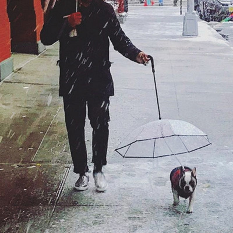 Leash Snow-Proof Rain Proof Windproof Umbrella