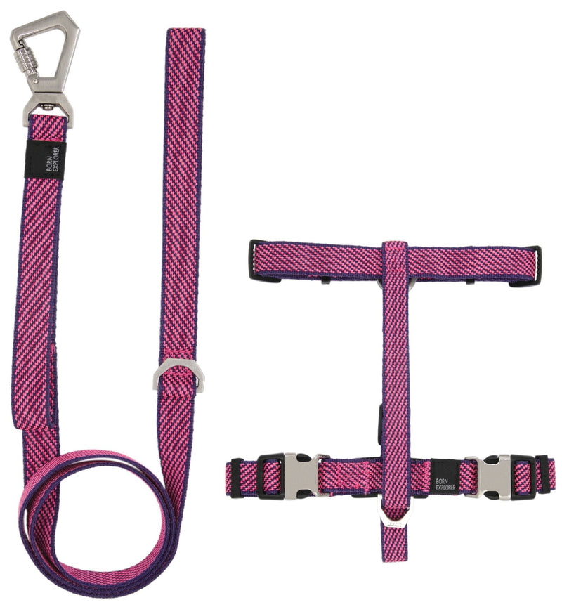 Outdoor Series 2-in-1 Convertible Dog Leash and Harness