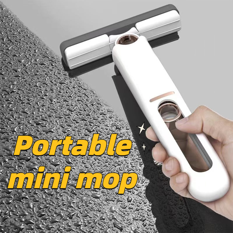 Multifunction Portable Squeeze Cleaning Mop Desk Window Glass Cleaner