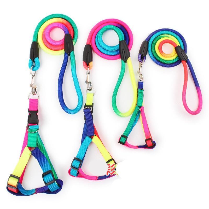 Pet Dog Collar Harness Leash Soft Walking Harness Lead Colorful and Durable Traction Rope 120cm