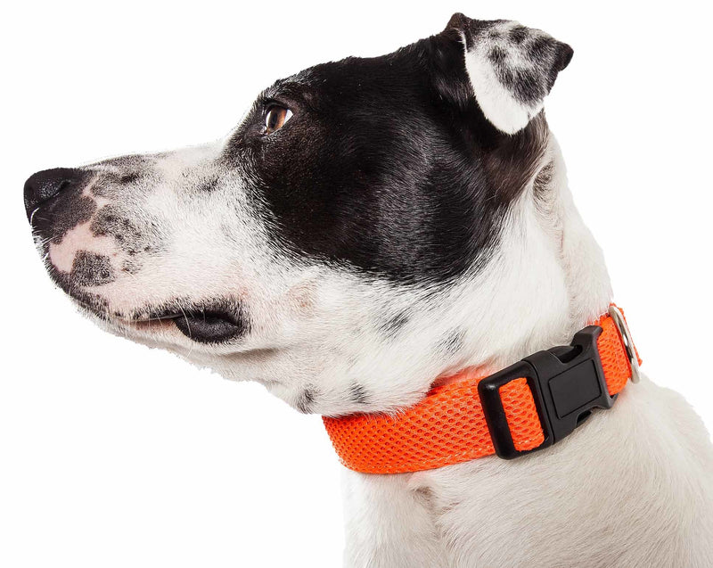 360 Degree Dual Sided Comfortable And Breathable Adjustable Mesh Dog