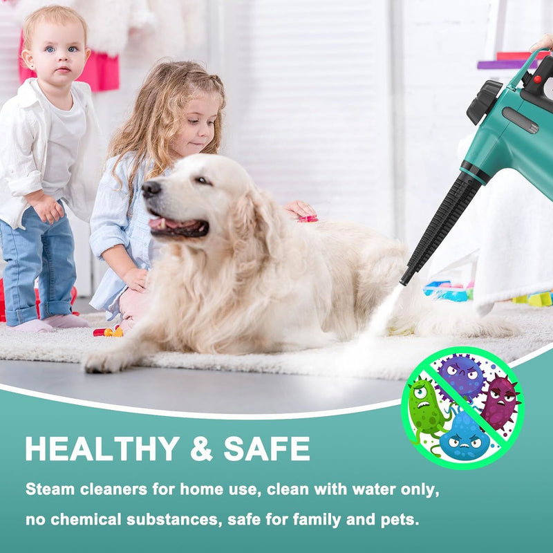 Handheld Steam Cleaner  Home Use Steamer Cleaning