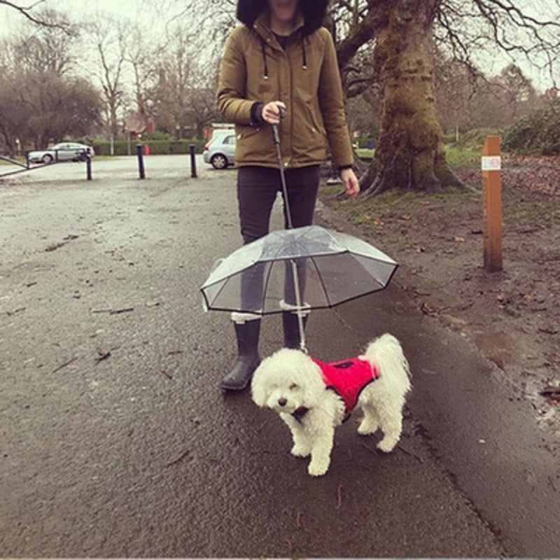 Leash Snow-Proof Rain Proof Windproof Umbrella